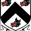 Na Piarsaigh Doire Trasna logo
