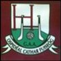 Hospital Herbertstown GAA Club logo