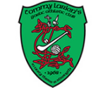 TommyLarkinsGAAClub