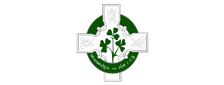 NewryShamrocksGAC
