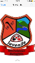 MitchelstownBallygiblinJuvenileGAAClub