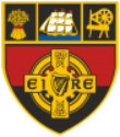 DownGAA