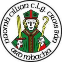St Killians Whitecross logo