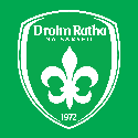 DrumraghSarsfieldsGAC