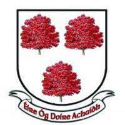 Eire Og Derriaghy logo
